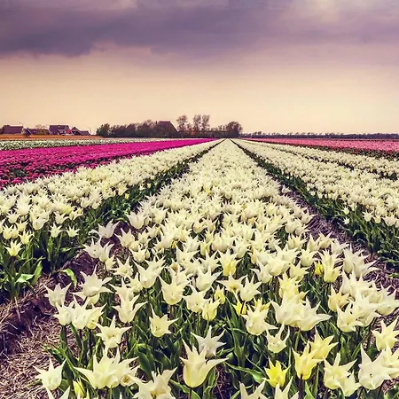 Ferienhaus-naumann-kreetz *
